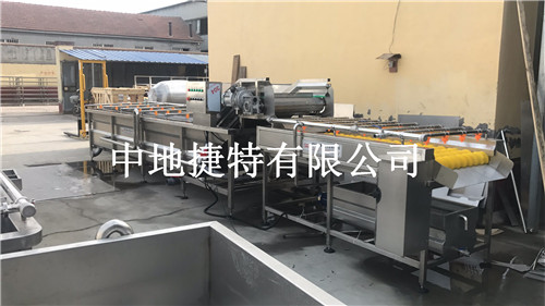 蔬菜清洗标准-商用木耳气泡清洗机