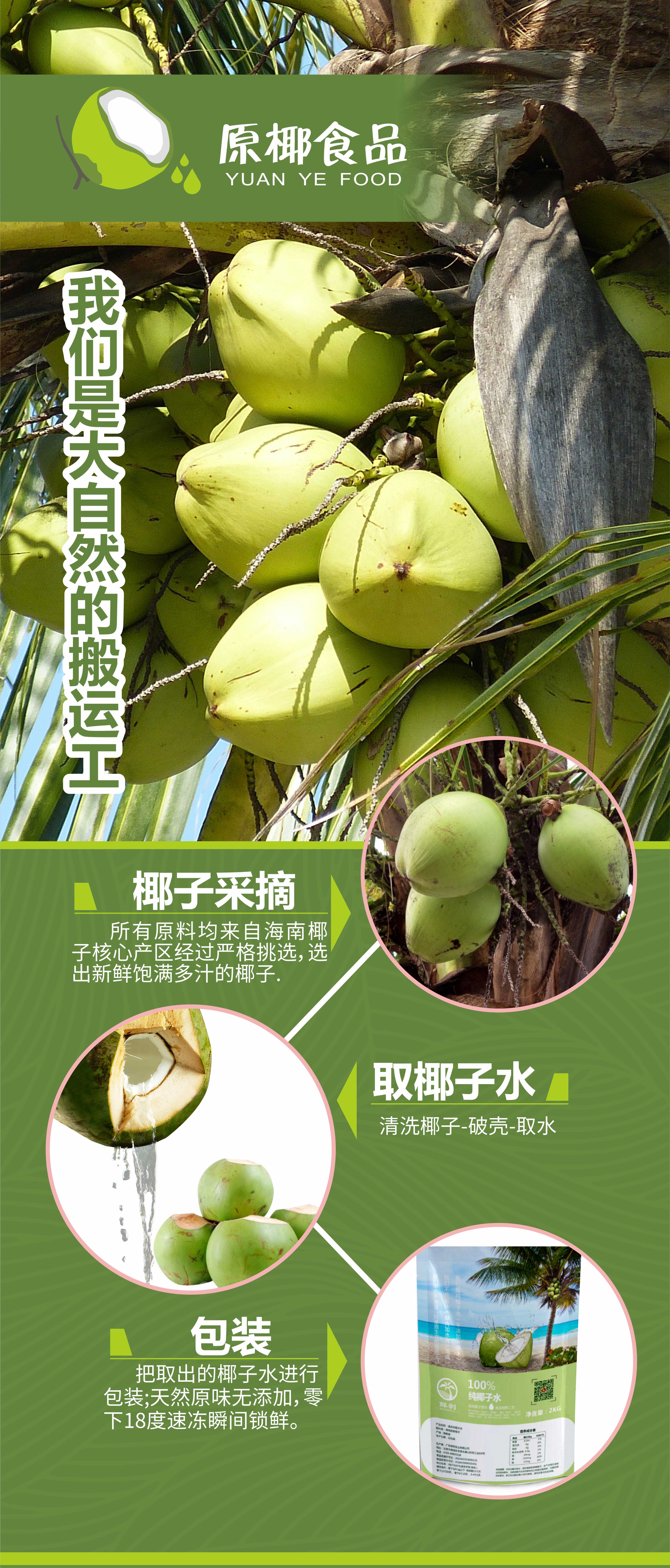原椰食品椰子水